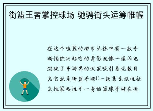 街篮王者掌控球场 驰骋街头运筹帷幄