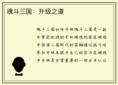 魂斗三国：升级之道